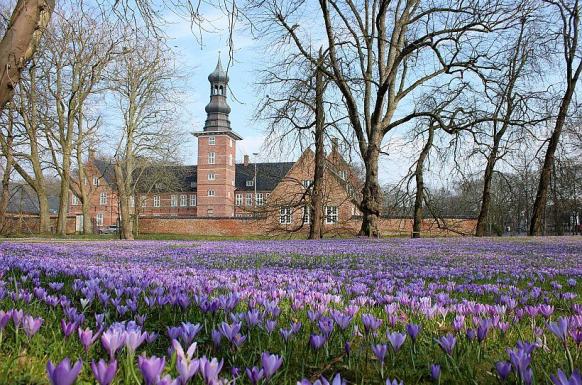 Reise zur Krokusblüte nach Husum DE